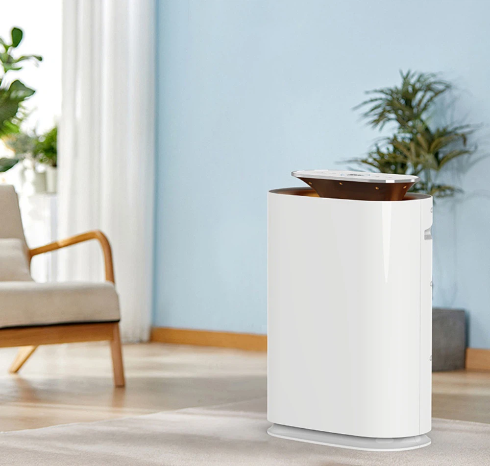 product-1000-952 product-1000-952